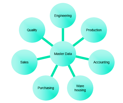 Efficiency And Precision The Importance Of Master Data In Sap Sap