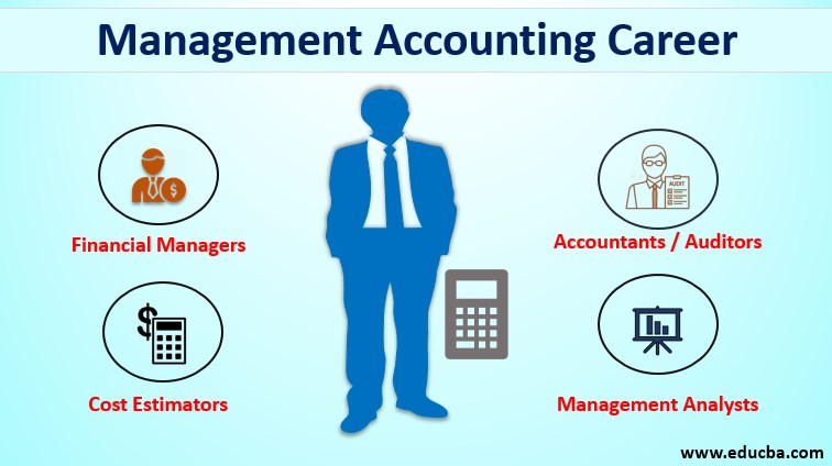 Management Accounting Career