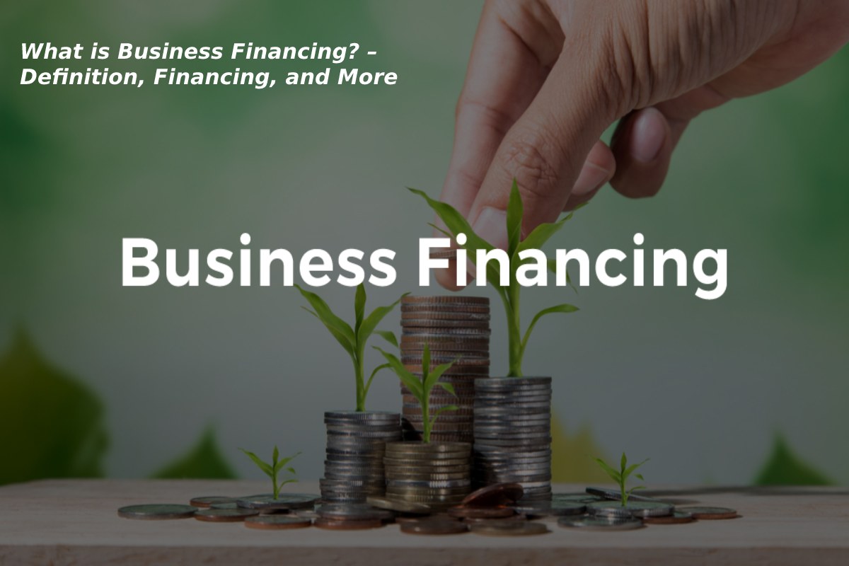 What Is Business Financing Definition Financing And More